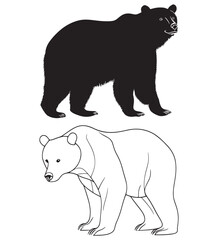 silhouette of bear vector illustration. polar bear vector