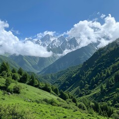 Obraz premium cloudless,highest mountain on the left,green lawn on the left,endless green mountains background,no waterblue sky and white cloud,real photo 