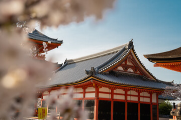 Obraz premium Japanese pagoda and old house in Kyoto at twilight