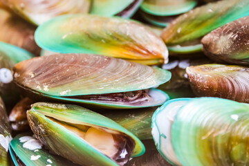 close-up of a pile of green mussels