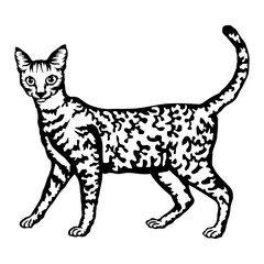 Egyptian Mau Cat