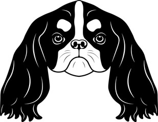 English Toy Spaniel