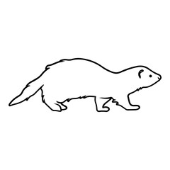Ferret Side View Outline