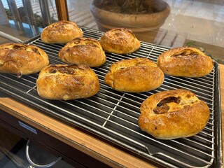 트레이에 진열된 빵