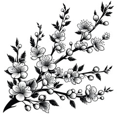Illustrate a branch filled with cherry blossoms