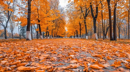 Autumn pattern wallpaper