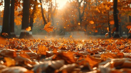autumn park pattern wallpaper