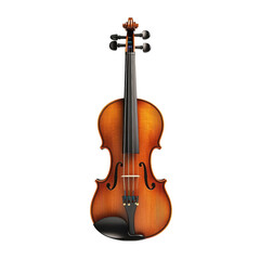 Fototapeta premium A beautifully crafted violin.