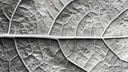 Obraz premium Detailed leaf pattern wallpaper