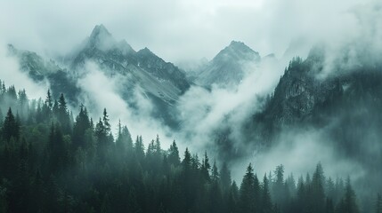foggy mountain pattern wallpaper