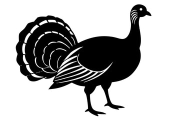 Obraz premium Wild turkey silhouette vector illustration 