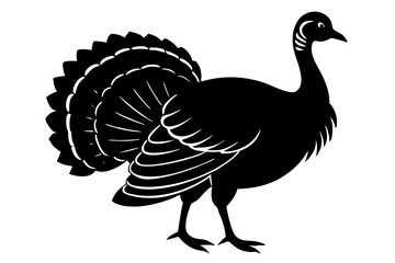 Wild turkey silhouette vector illustration 
