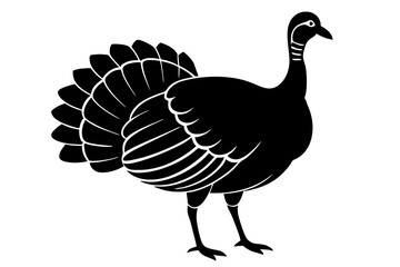 Wild turkey silhouette vector illustration 
