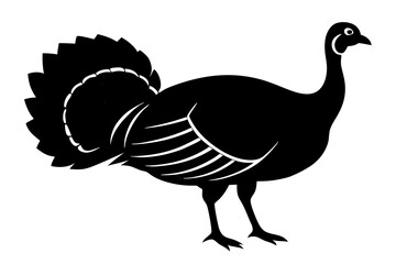 Wild turkey silhouette vector illustration 
