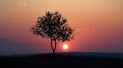 Obraz premium Sunset with tree wallpaper