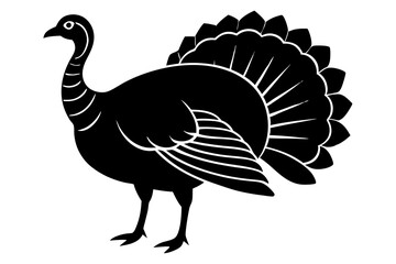 Wild turkey silhouette vector illustration 
