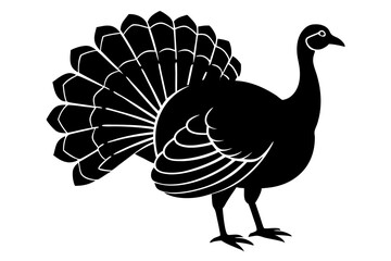 Wild turkey silhouette vector illustration 
