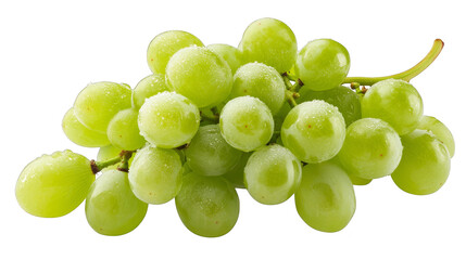 Fresh Green Grapes with Dew Drops Close Up