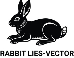 black and white rabbit