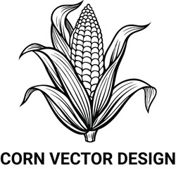 illustration of corn