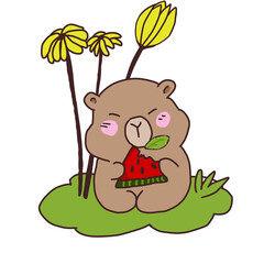 bear and flowers