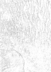 White rough bark texture in retro concept.