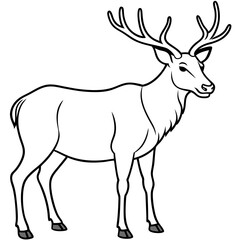 Elk