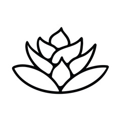 A black and white line art illustration of a succulent plant, showing its distinct thick leaves.