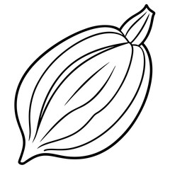 Cardamom
