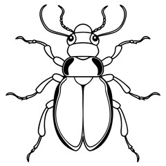 Collection of high detailed insects sketches. Hand drawn beetles illustrations in vintage style. Entomological drawings set. Beetles outlines for monogram, banner, poster, tattoo, cards design.