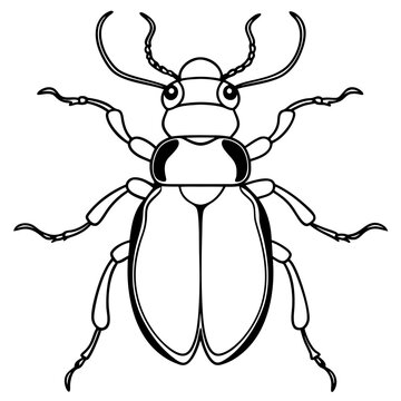 recommend clip art: Collection of high detailed insects sketches. Hand drawn beetles illustrations in vintage style. Entomological drawings set. Beetles outlines for monogram, banner, poster, tattoo, cards design.