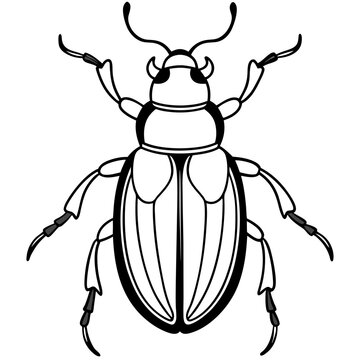recommend clip art: Collection of high detailed insects sketches. Hand drawn beetles illustrations in vintage style. Entomological drawings set. Beetles outlines for monogram, banner, poster, tattoo, cards design.