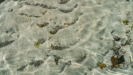 The seabed is visible through crystal transparent water. A pebble, algae, shells on a wavy sand. Madagascar. Top view. Full -screen. © Вера 