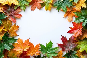 Fototapeta premium Autumn Maple Leaves Flat Lay White Background created with Generative AI