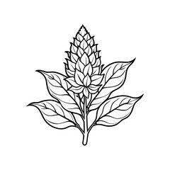 Stylish Amaranthus Flower line Icon. Black Flat Vector Design