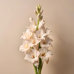 Fototapeta premium a high quality professional photo of Spicy grilled chicken legs or drumsticks flying with herbs and spices, minimalist style. The image will contain more details, AI Generated Image