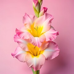 Obraz premium a high quality professional photo of Spicy grilled chicken legs or drumsticks flying with herbs and spices, minimalist style. The image will contain more details, AI Generated Image