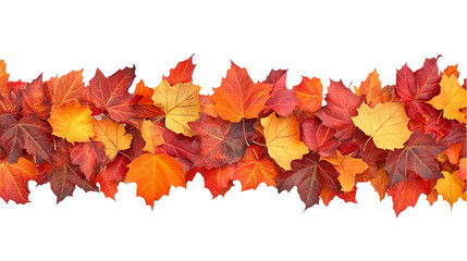 A border of vibrant red, orange, and yellow autumn leaves arranged in a single row.