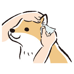 犬の耳掃除の手描きイラスト