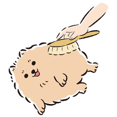 犬をブラッシングするイラスト