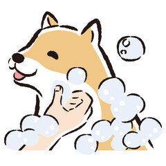 犬をシャンプーする手描きイラスト
