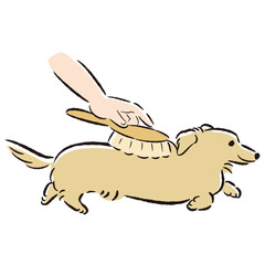 犬をブラッシングするイラスト
