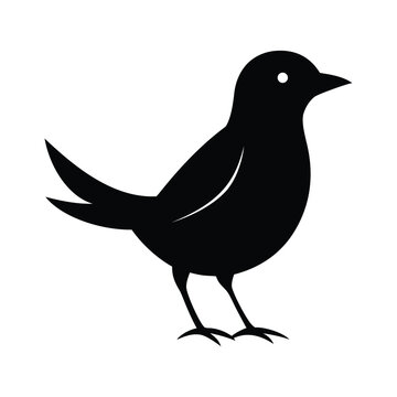 recommend clip art: bird black silhouette vector Illustration