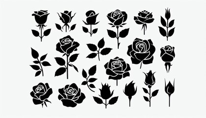 silhouettes of rose set