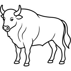 Bison
