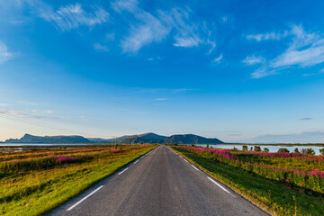 Andoya scenic landscape with long straight road leading into horizon in Norway. national tourist route in Norway. national tourist route on Andoya, Nordland, Norway