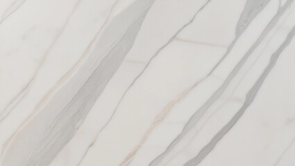 Obraz premium A white marble texture with soft gray veins