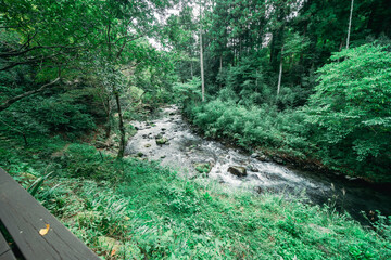 伊豆の山奥に流れる川の上にあるカフェ