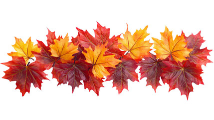 A close-up of a row of vibrant red and orange autumn leaves.