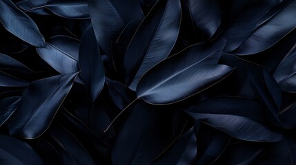 Obraz premium A close-up of dark blue leaves creating a serene and moody atmosphere.